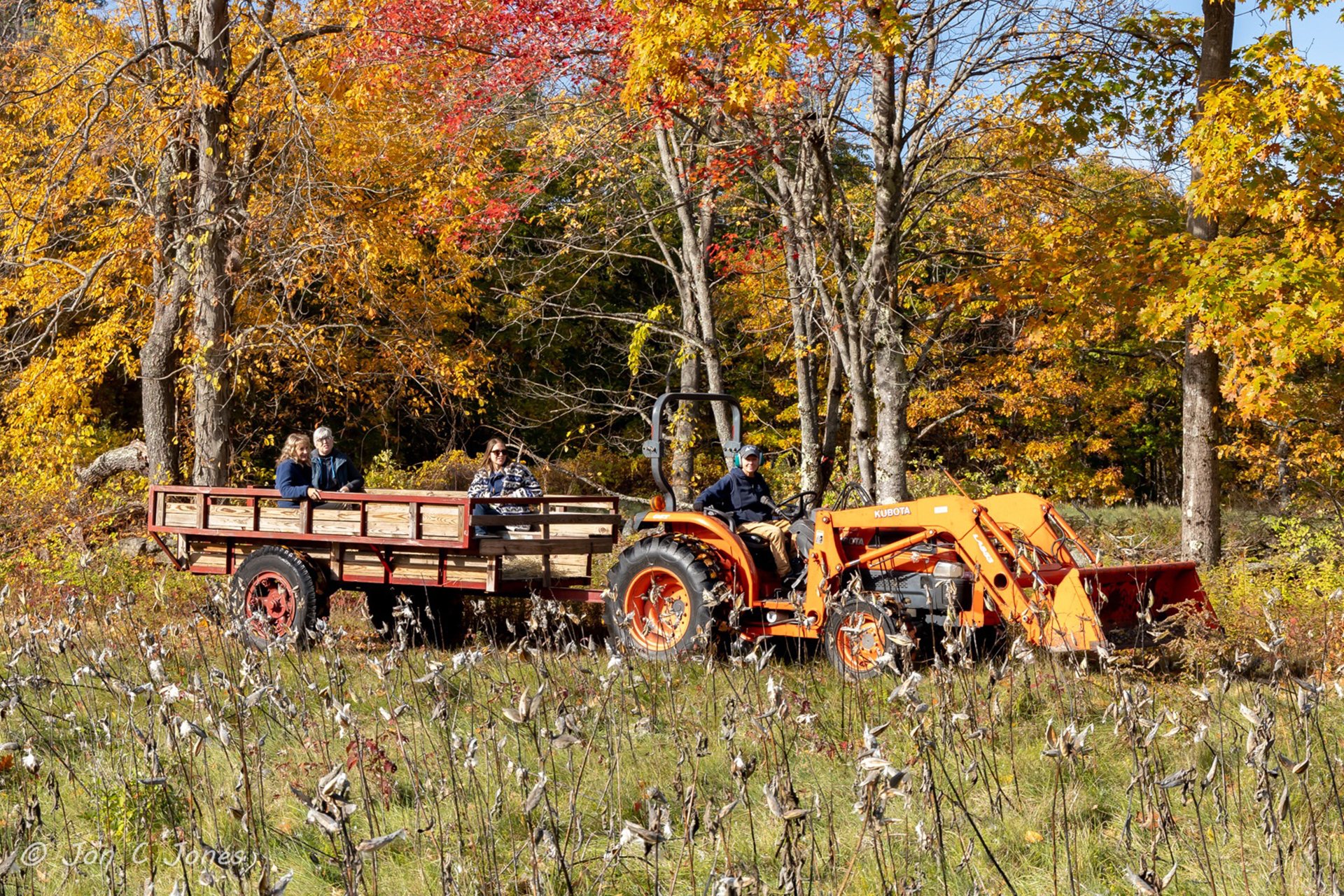 An orange tractor giving a small group of people a hayride through a field, against a backdrop of red and yellow trees