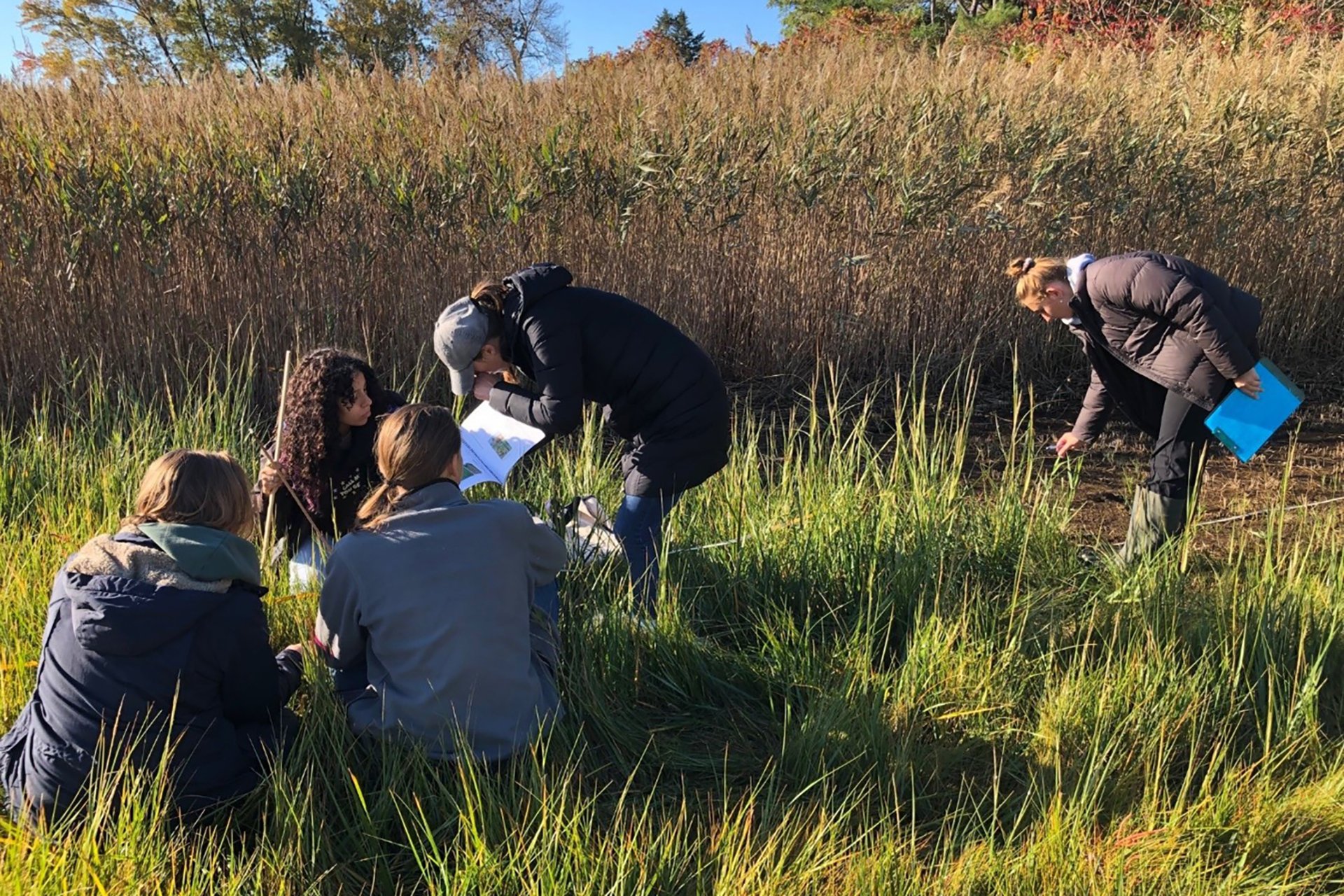 Students Study the Effects of Climate Change on North Shore Salt Marshes