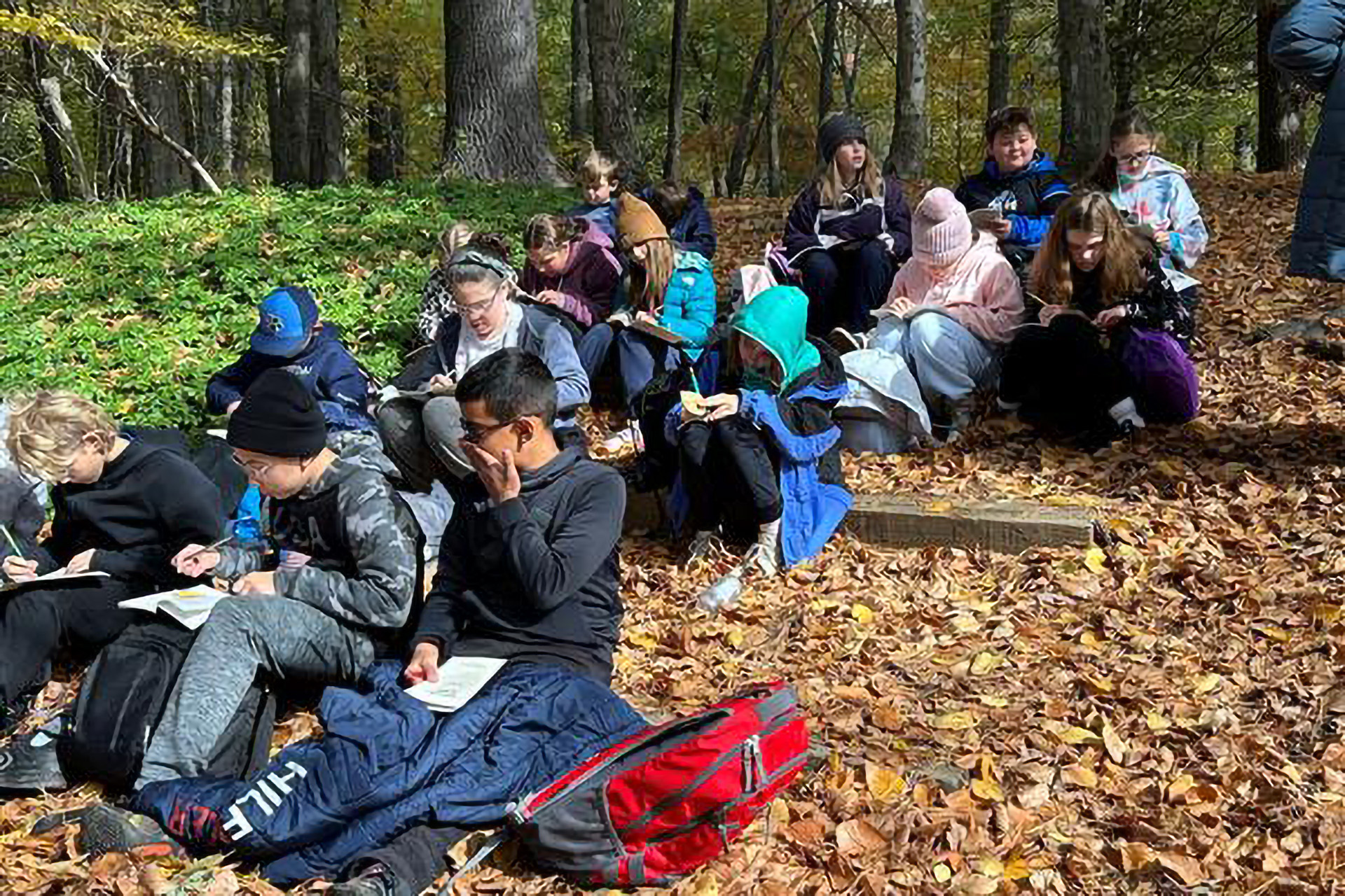 Students seated on wooden trail steps