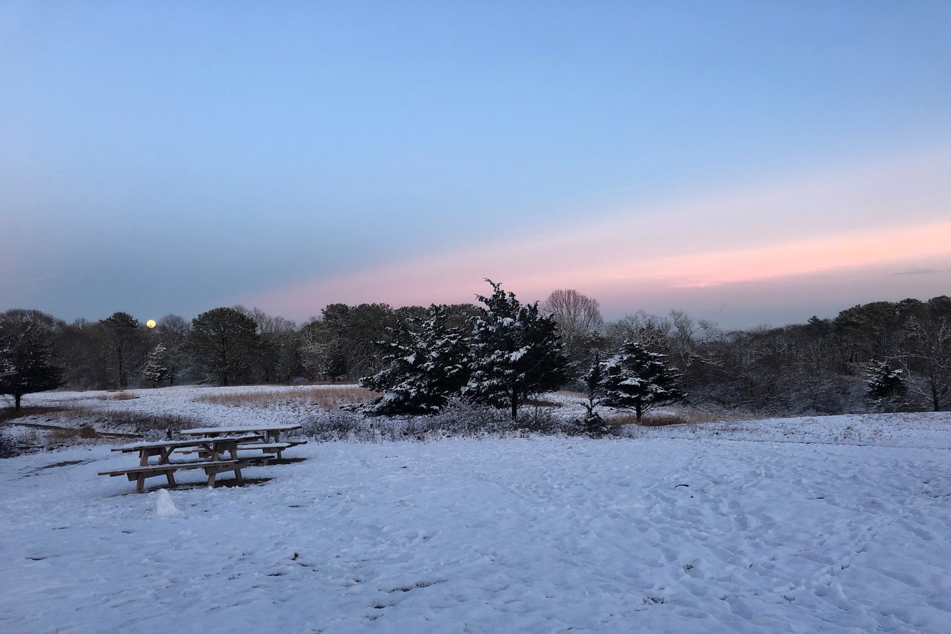 snowy picnic  area at felix neck