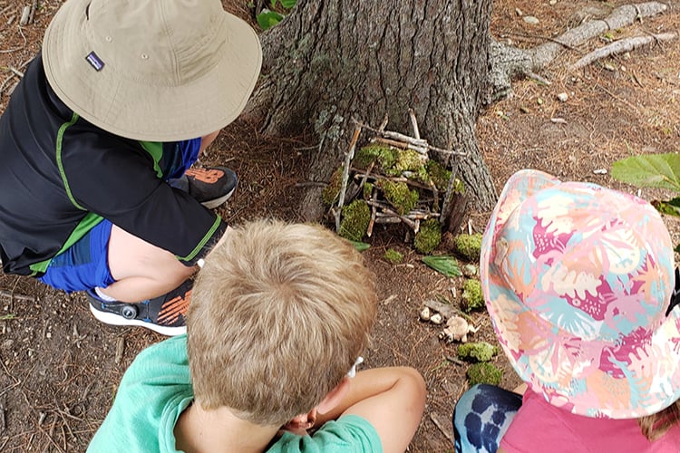 Ipswich River Young Campers making a fairy home