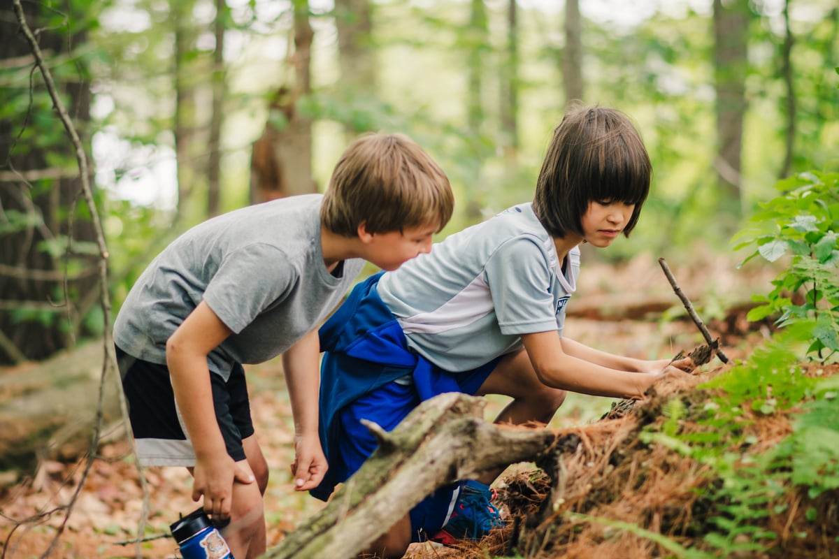 Two campers looking at a log