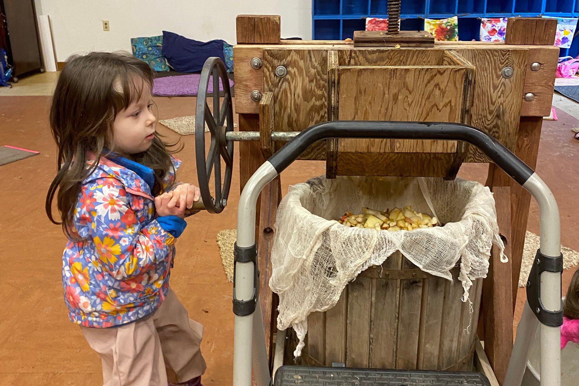 Preschooler turning the wheel of an old-fashioned apple press