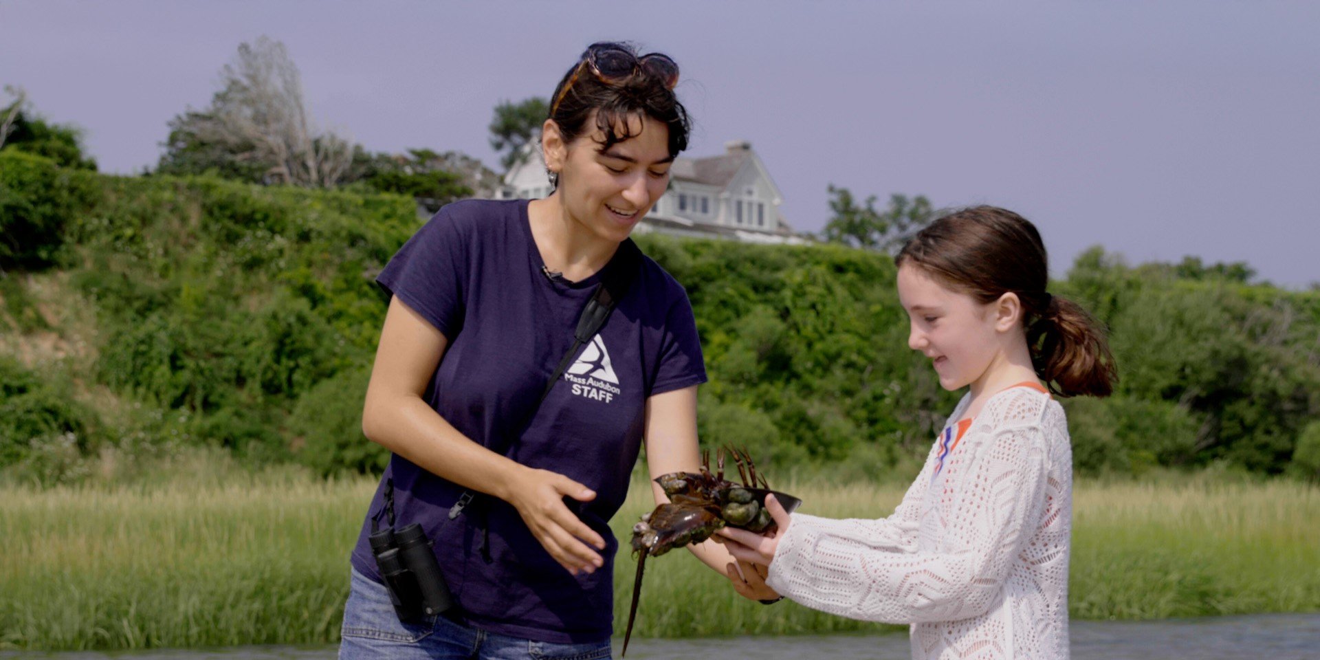 Mass Audubon staff and child looking at horseshoe crab together