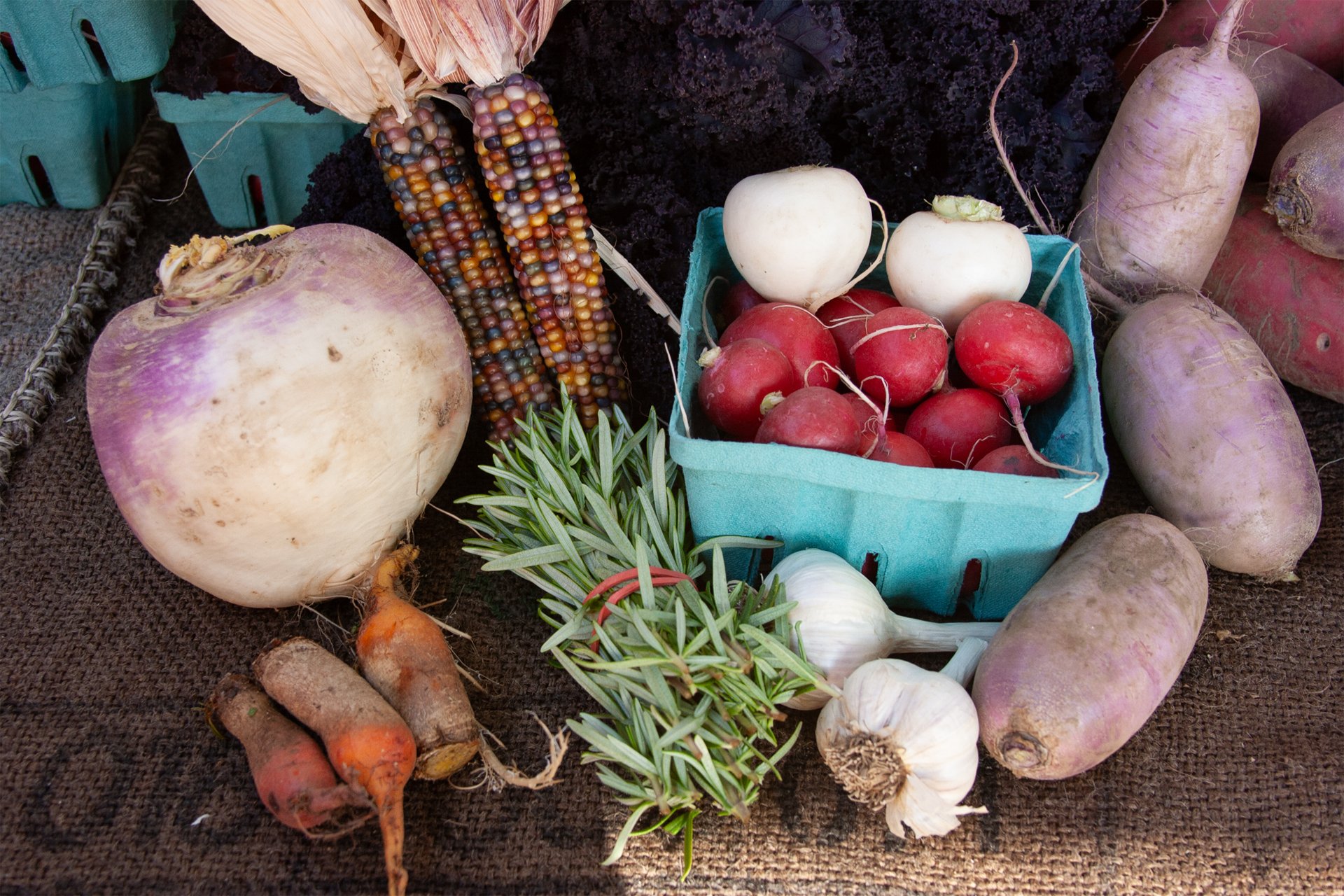 Turnips, garlic, corn, and assorted vegetables on a table