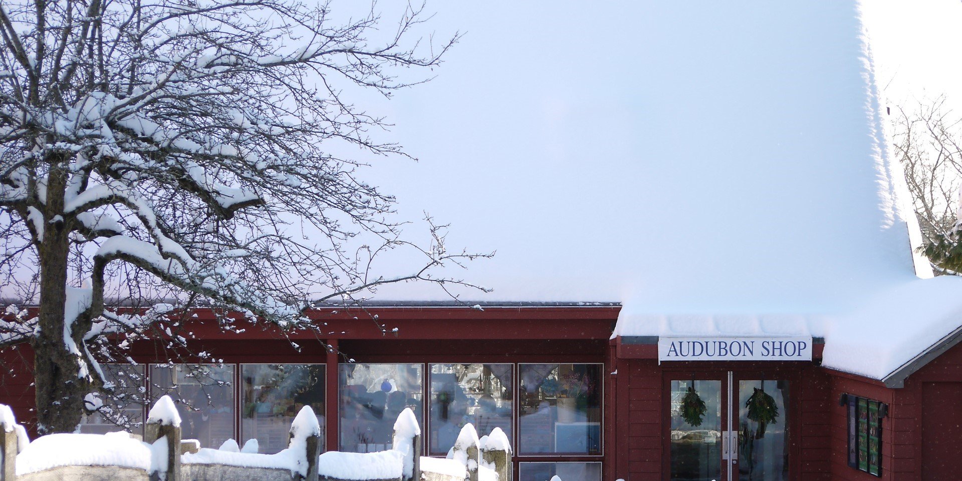 outdoor storefront of shop in winter