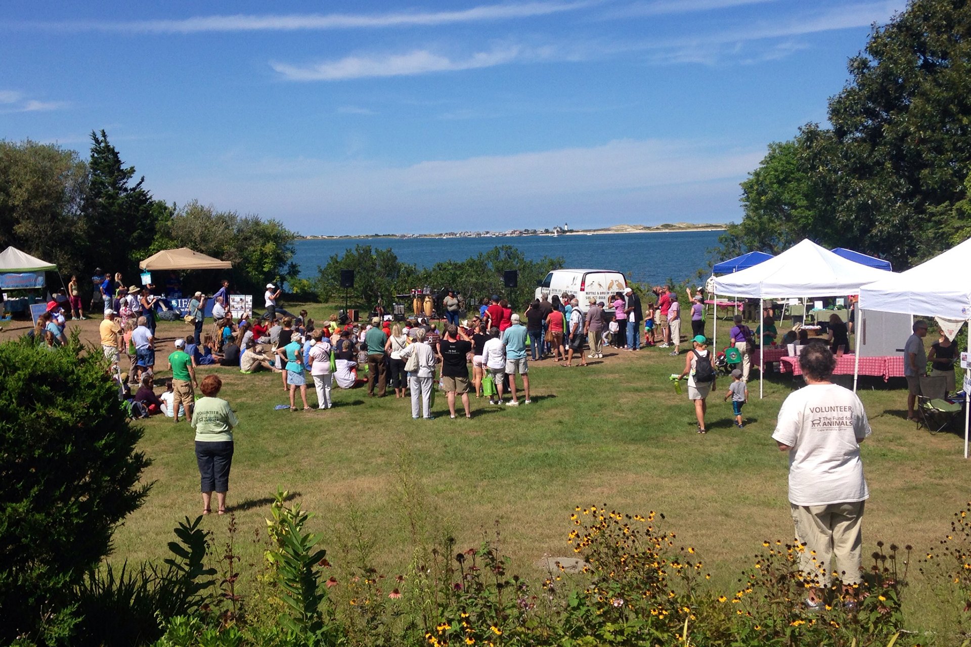 people gathered in a field surrounded by tents at the Cape Cod Wildlife Festival