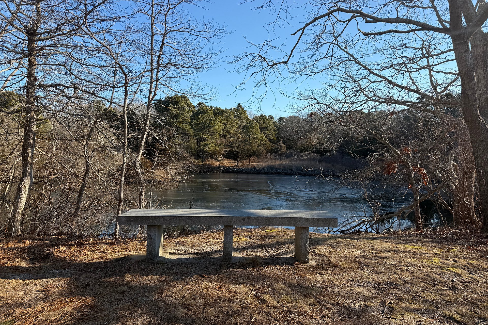 Bench overlooking a marsh on Felix Neck's All Persons Trail