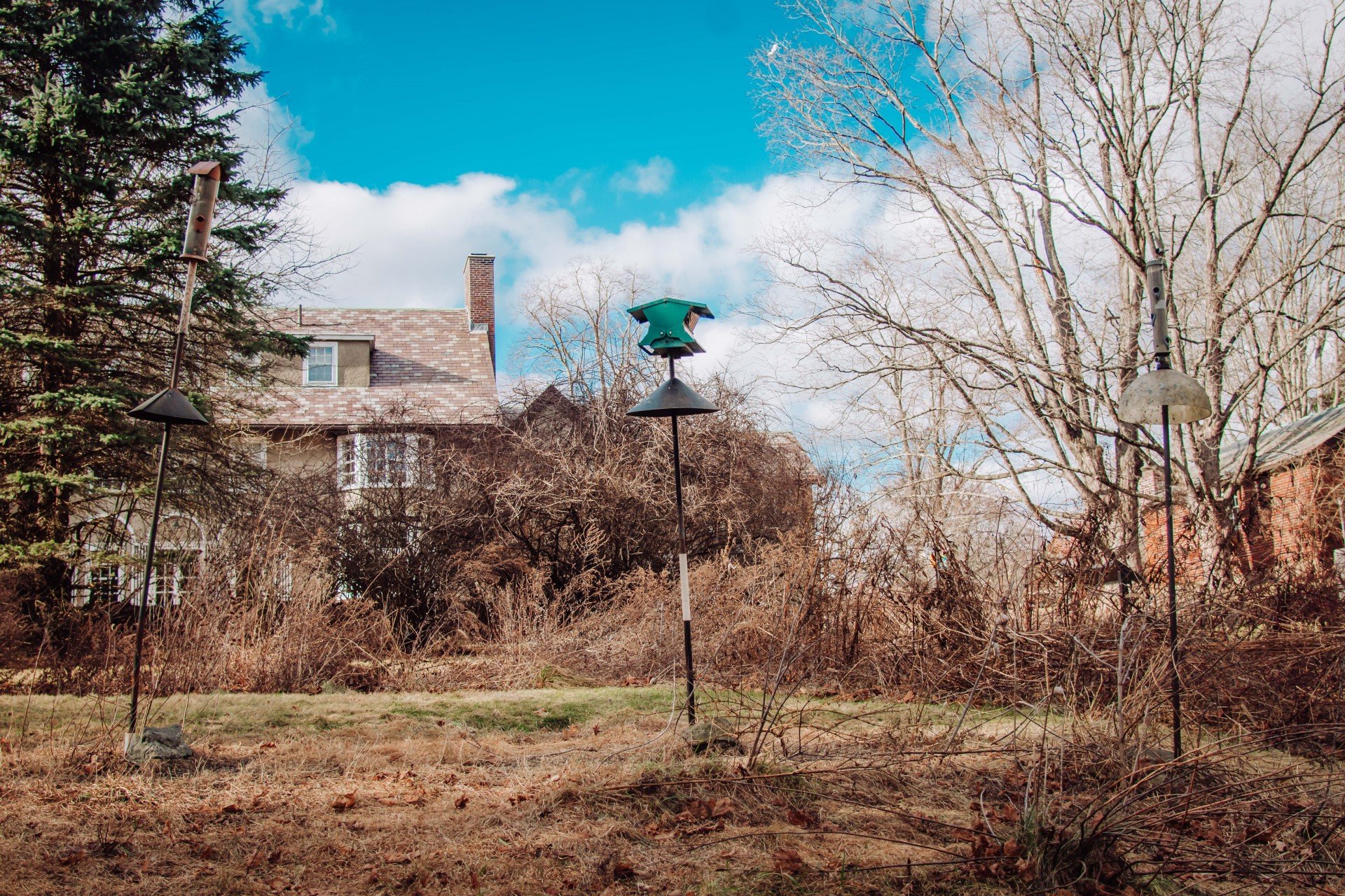 Bird feeders in MABA's garden