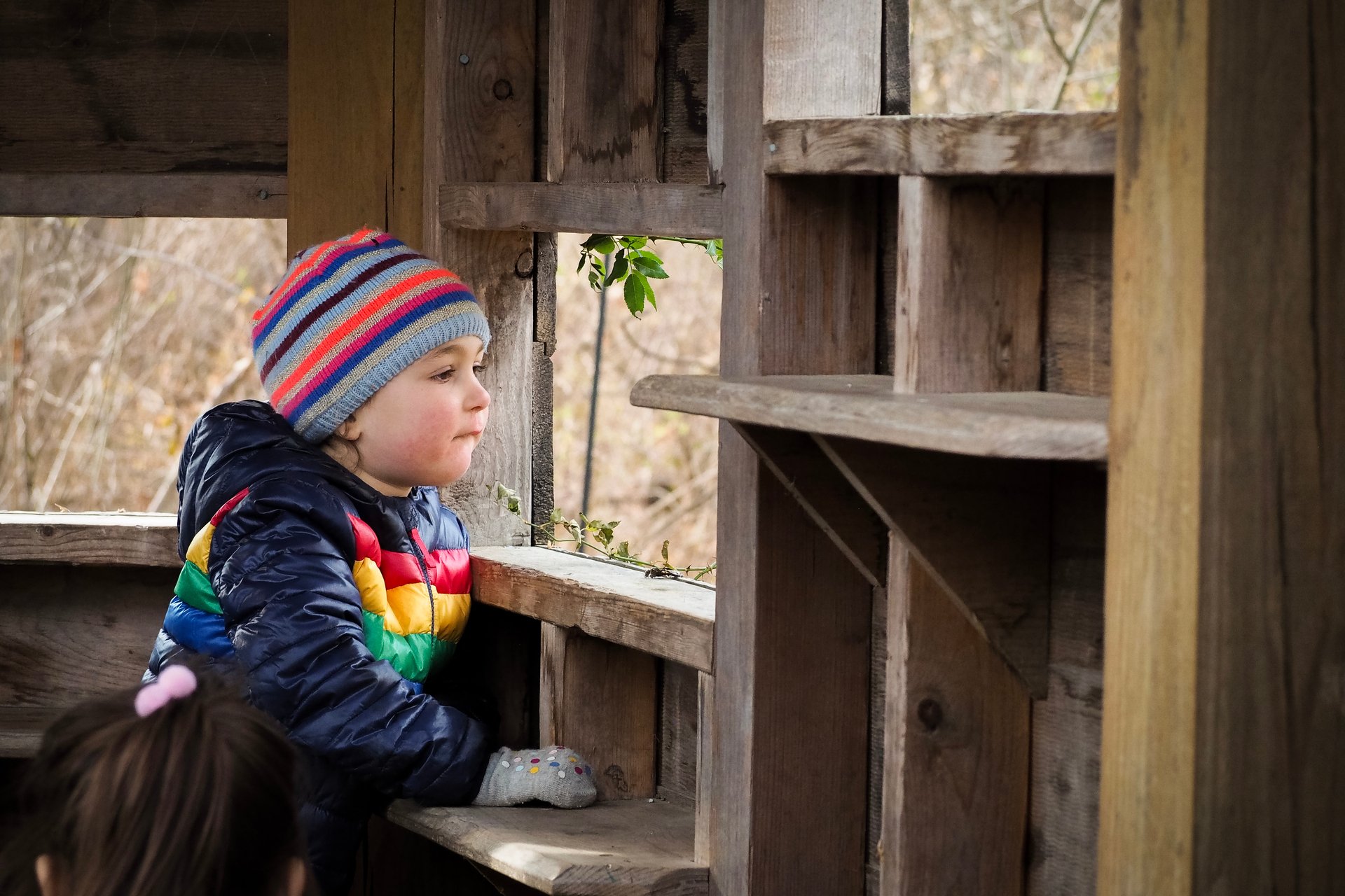 Small child looking through wildlife blind