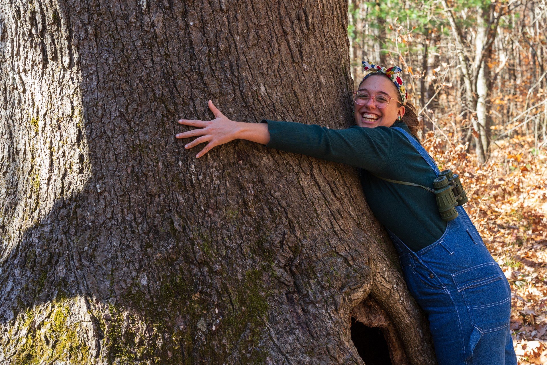 woman hugging big tree