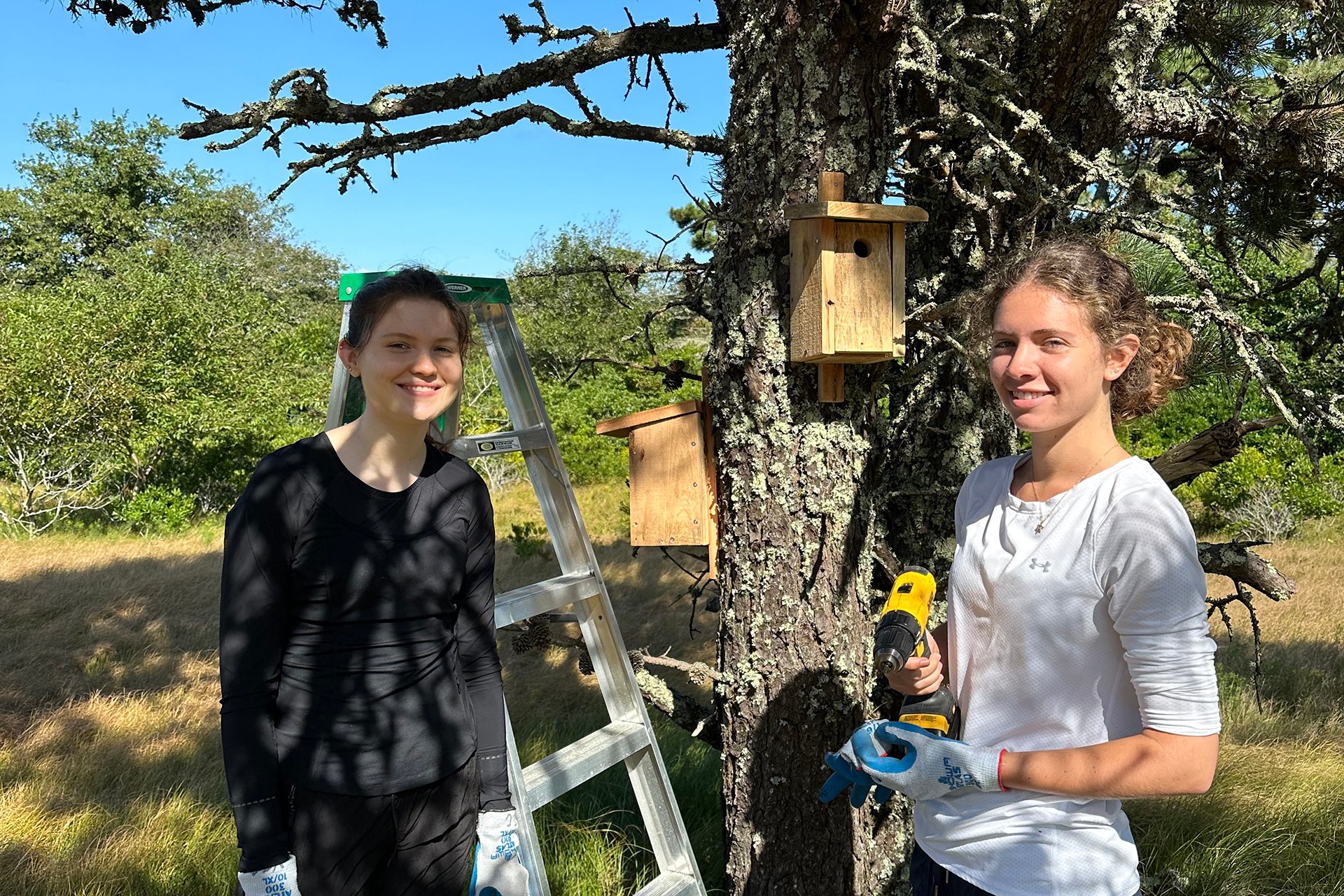 Emma Marshall - YES Steward - hanging a birdhouse