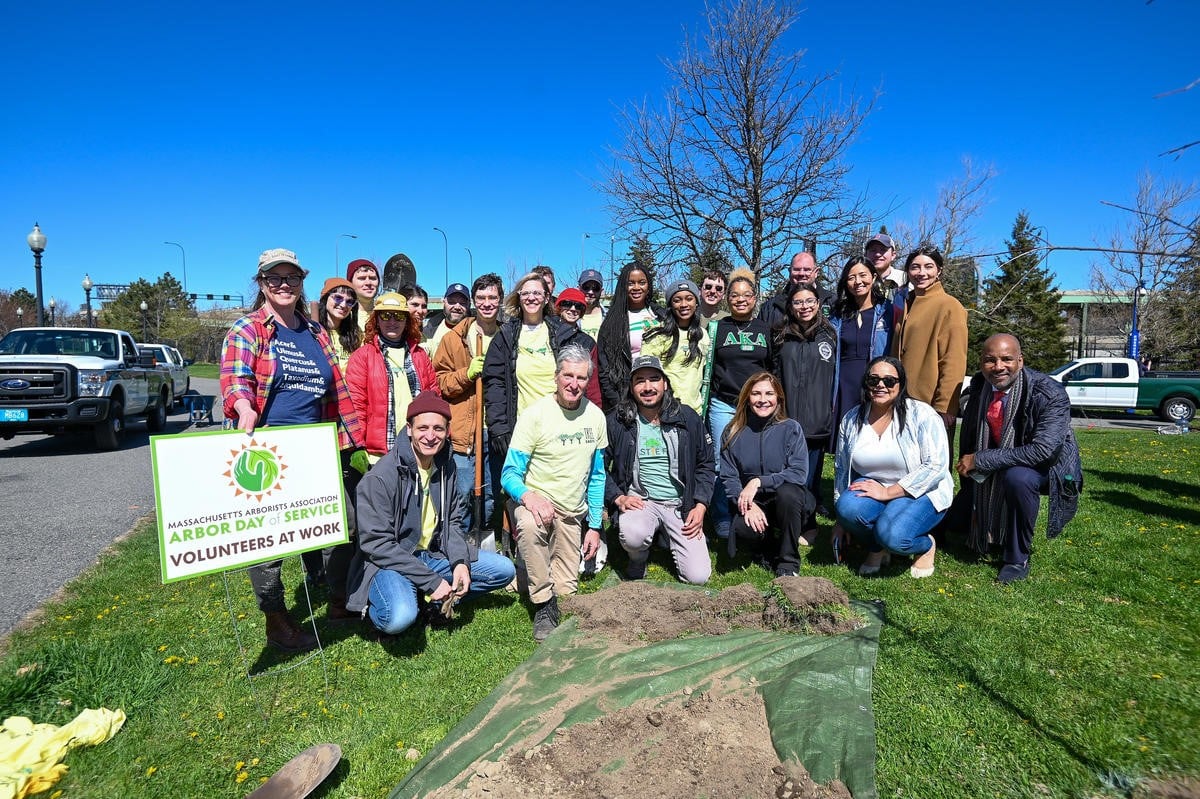 Photo of a group of Tree Eastie volunteers