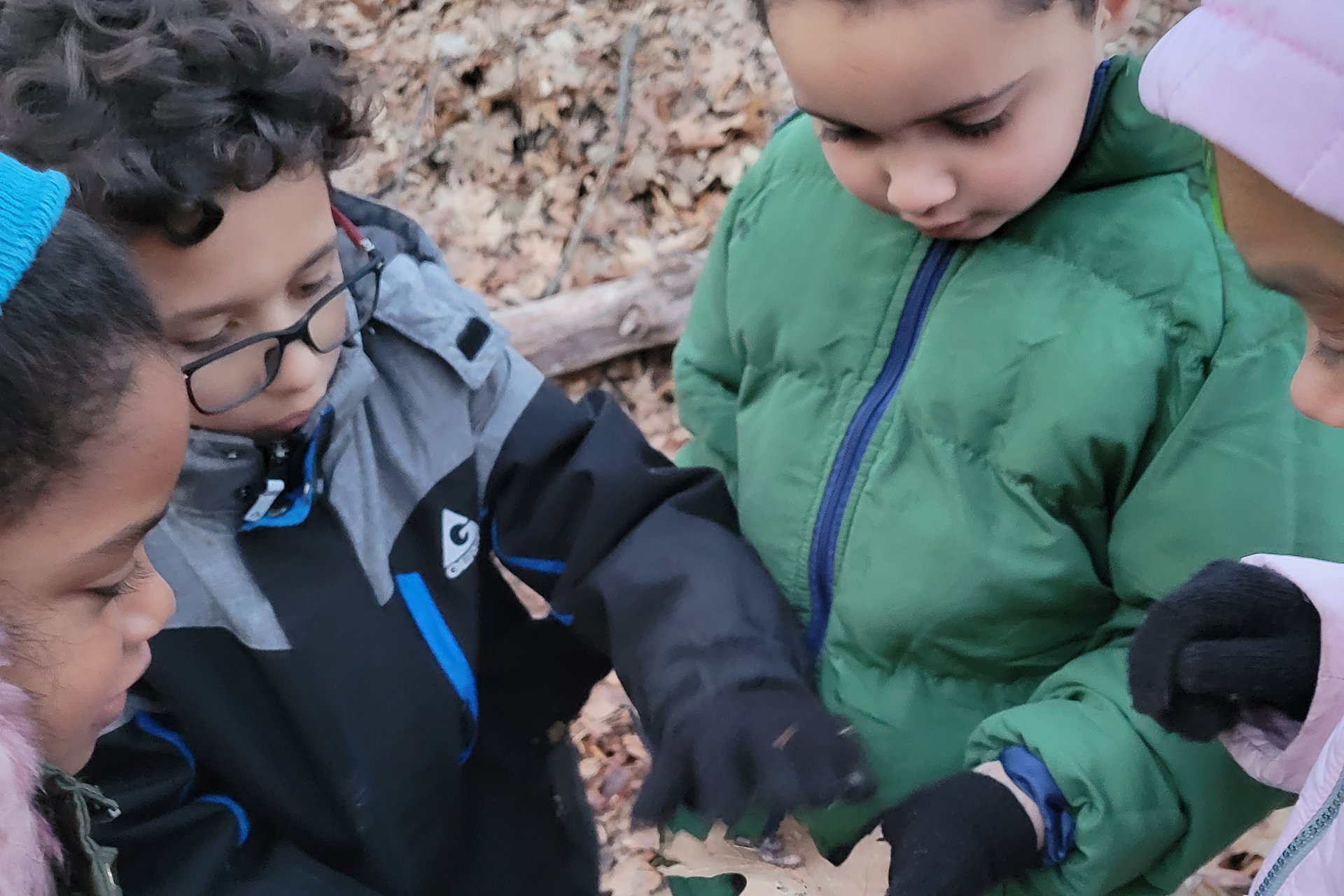 Four young students inspecting a worm on a leaf