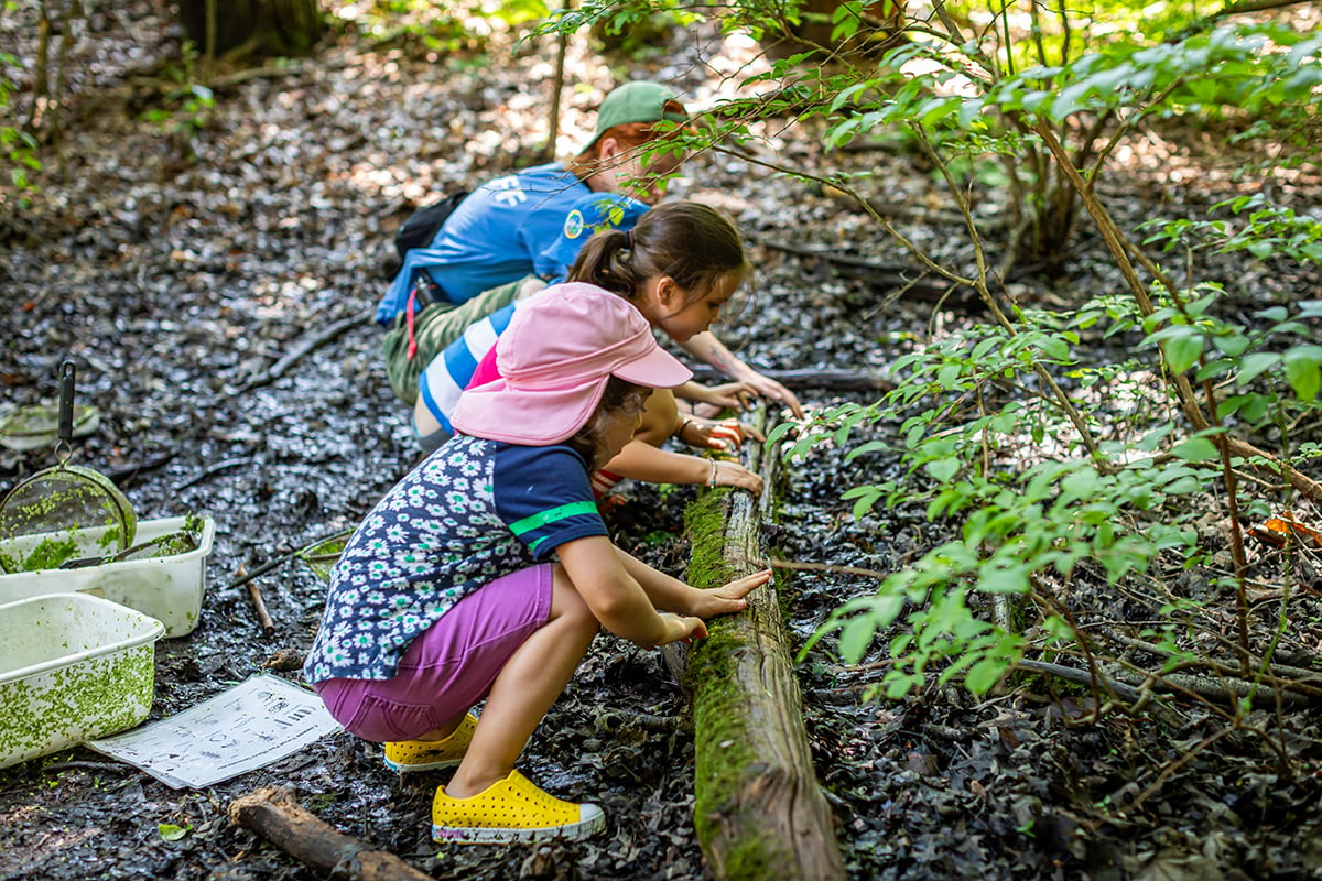 Arcadia Campers rolling a a log