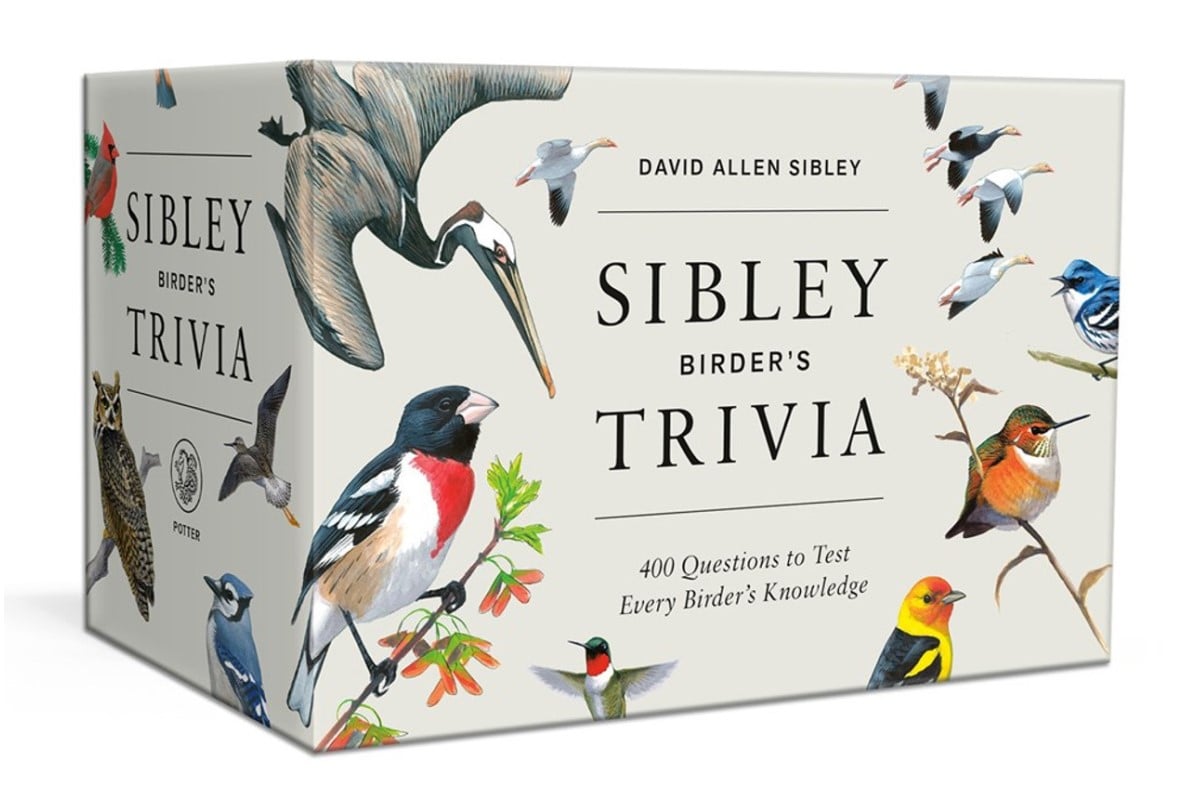 outer package of bird trivia cards featuring bird pictures