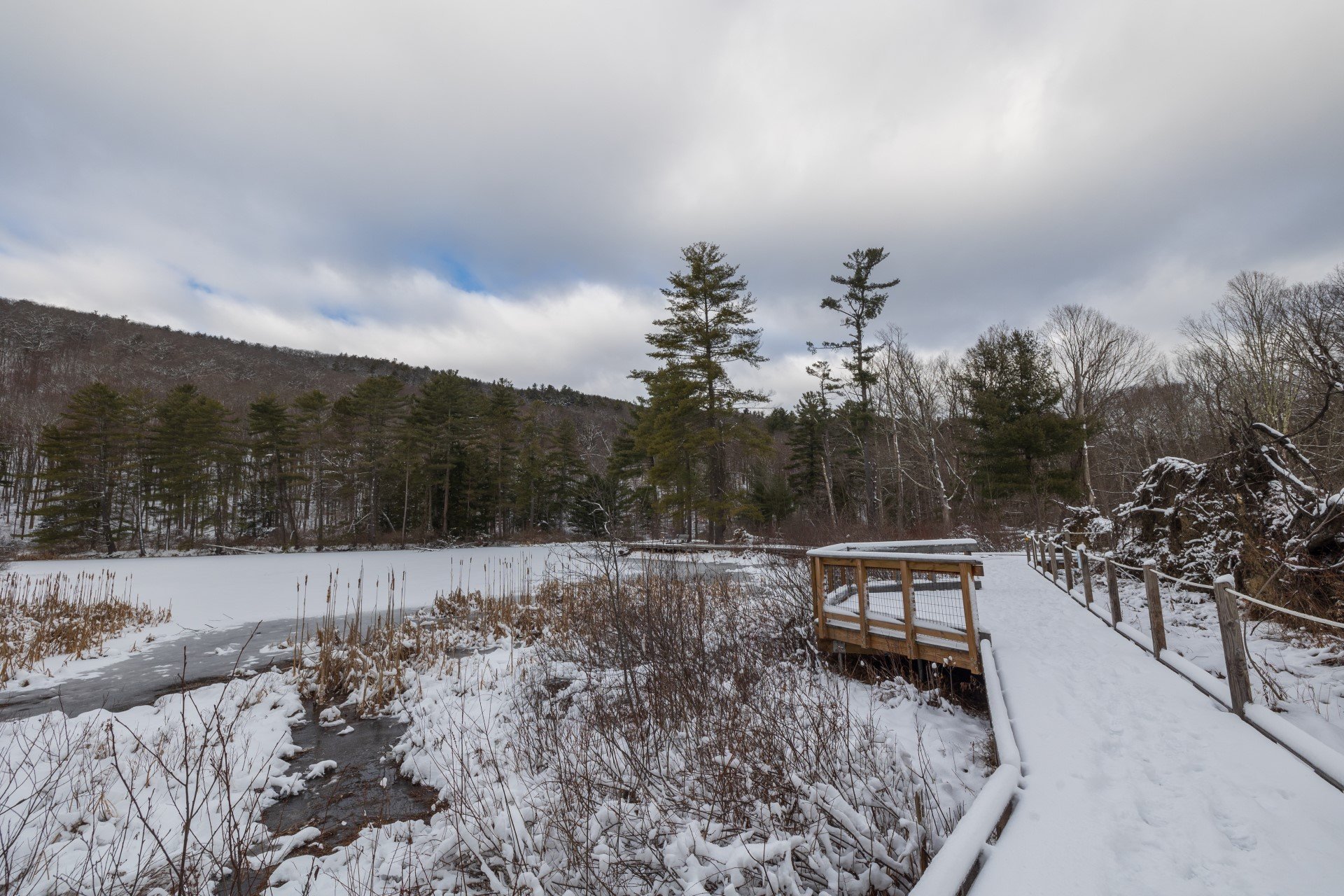 Boardwalk trail in winter