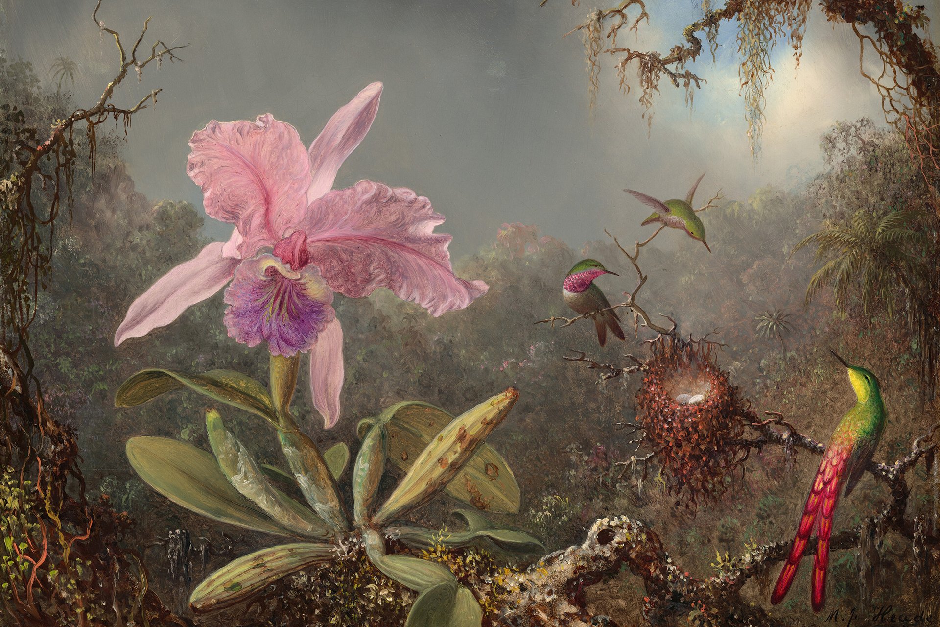 Martin Johnson Heade, Cattleya Orchid and Three Hummingbirds, 1871, oil on wood, Gift of The Morris and Gwendolyn Cafritz Foundation, 1982.73.1, The National Gallery of Art, Washington, D.C.