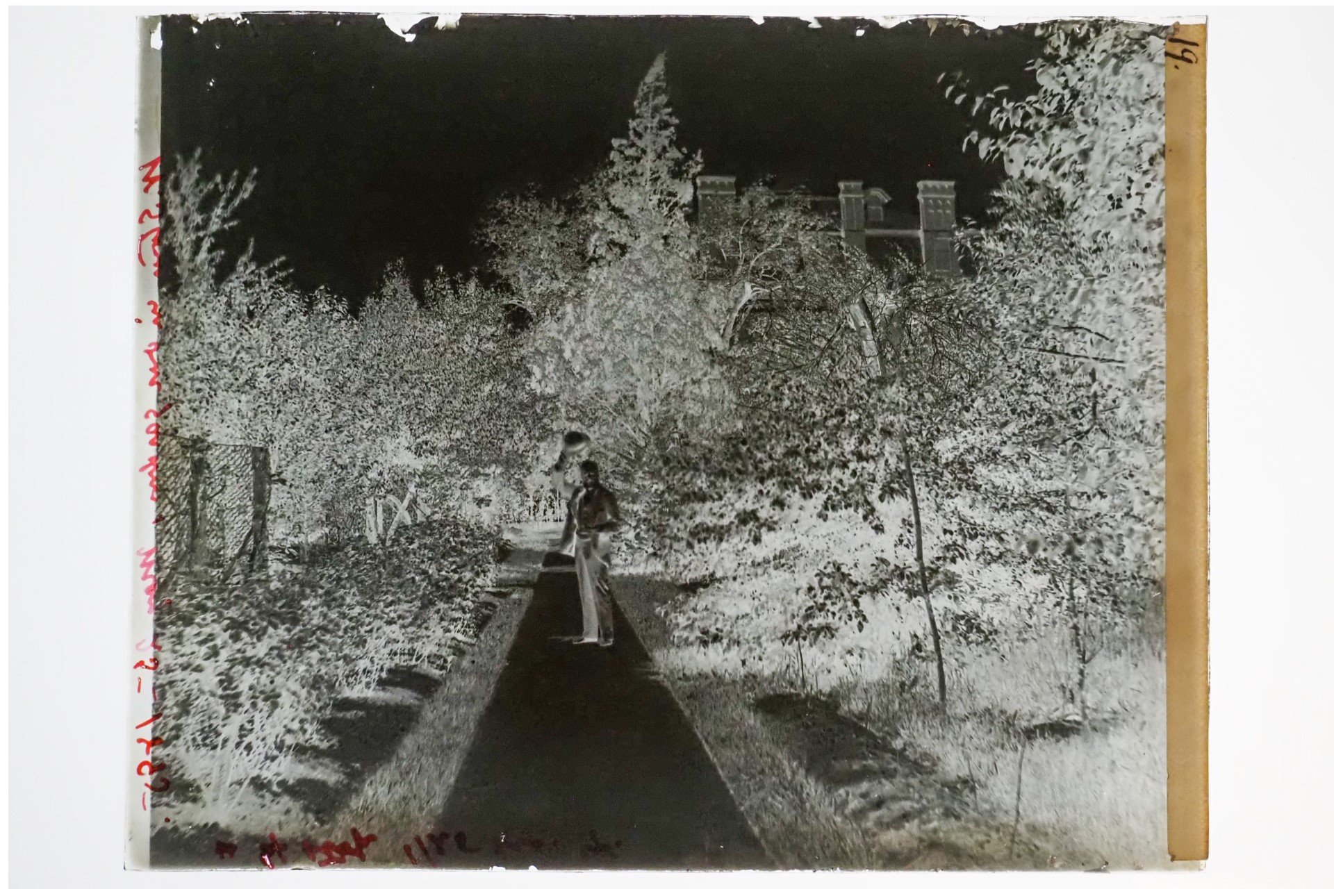 negative film image of man standing in garden