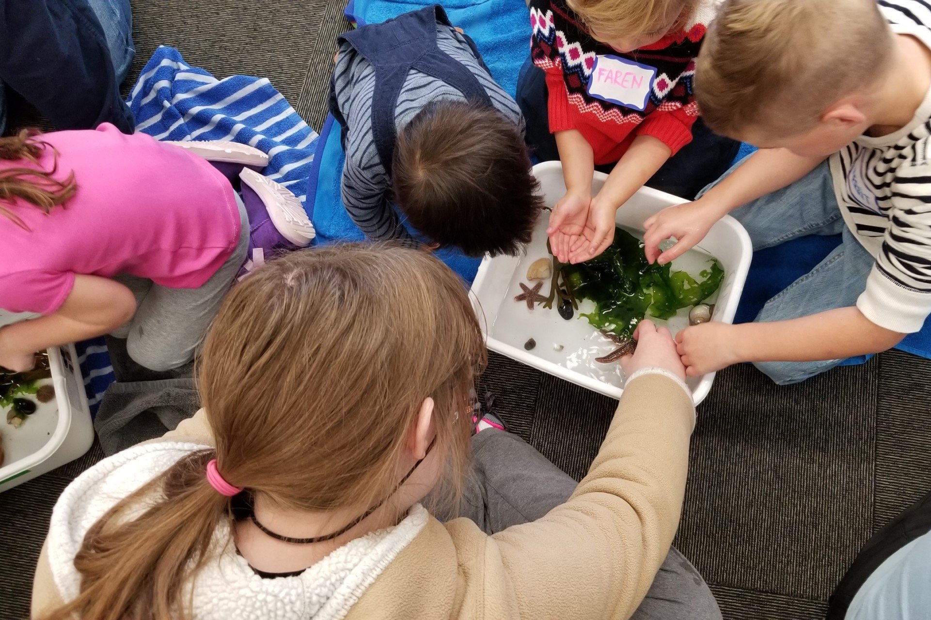 group looking into aquatic touch bin