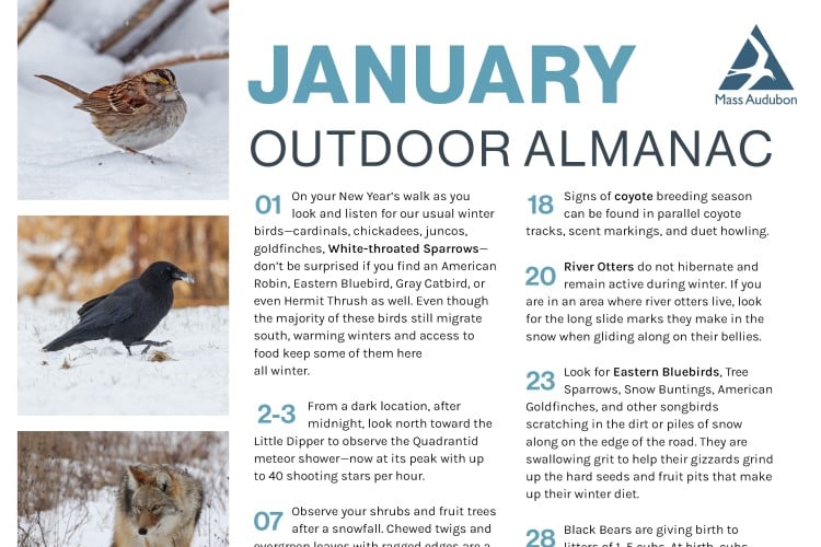 Preview of January Outdoor Almanac