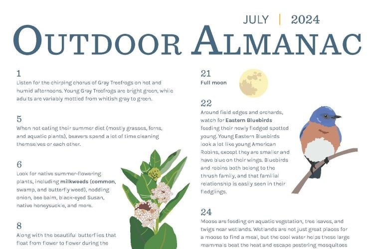 Preview of the July Almanac