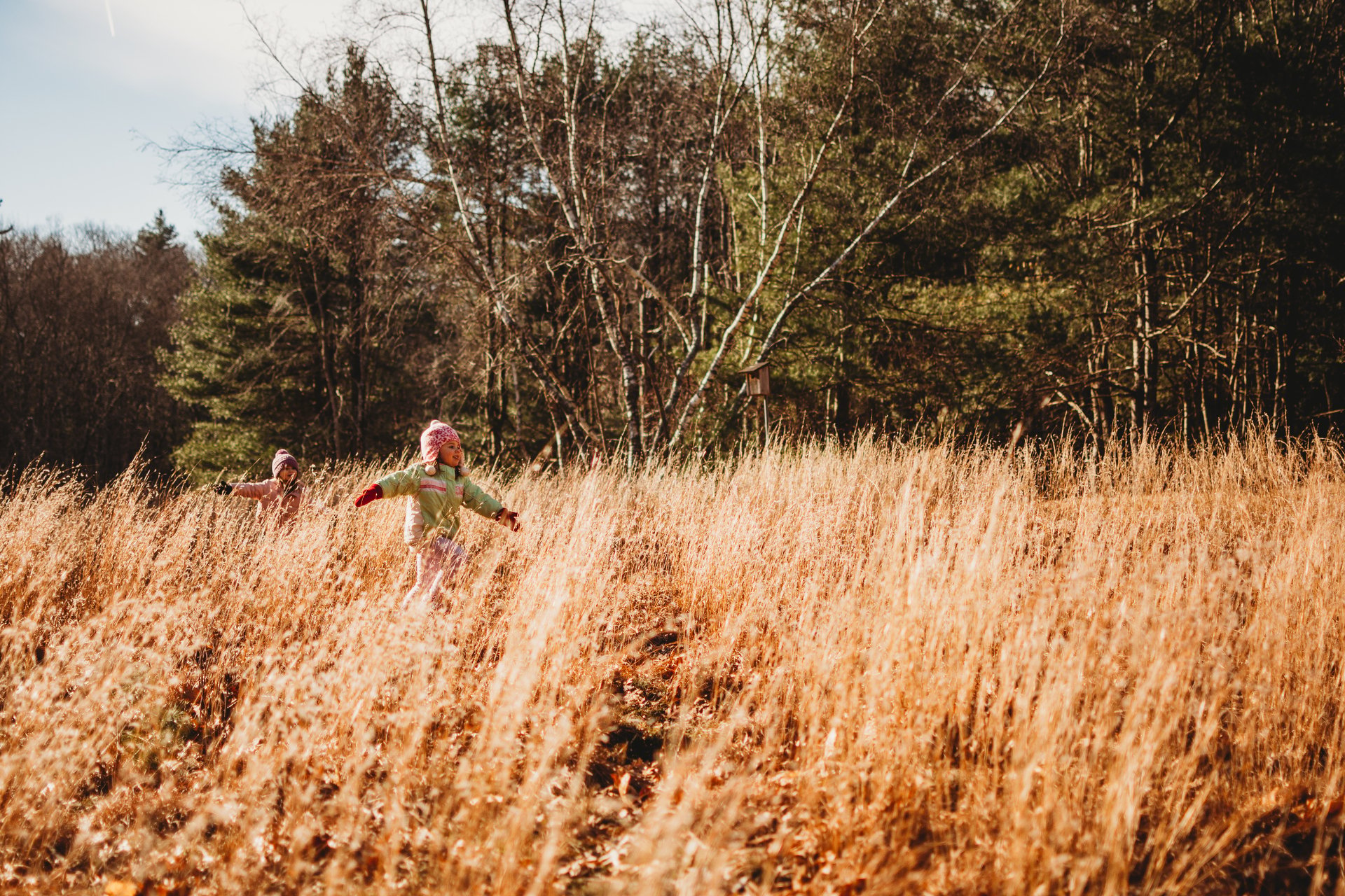 Young children running through a field of tall grass