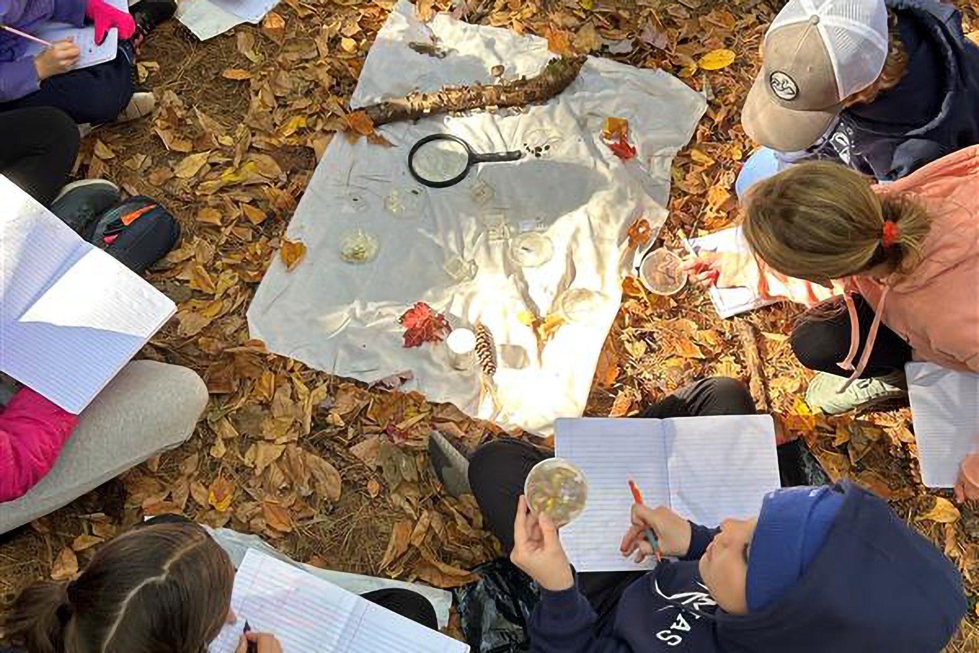 Students observing leaf specimens laid out on a white mat