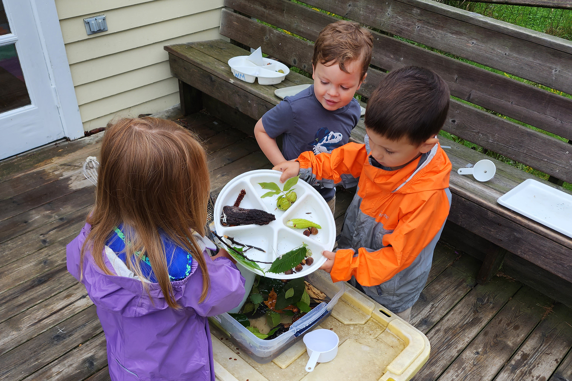 children inspecting plant pieces on a divided plate