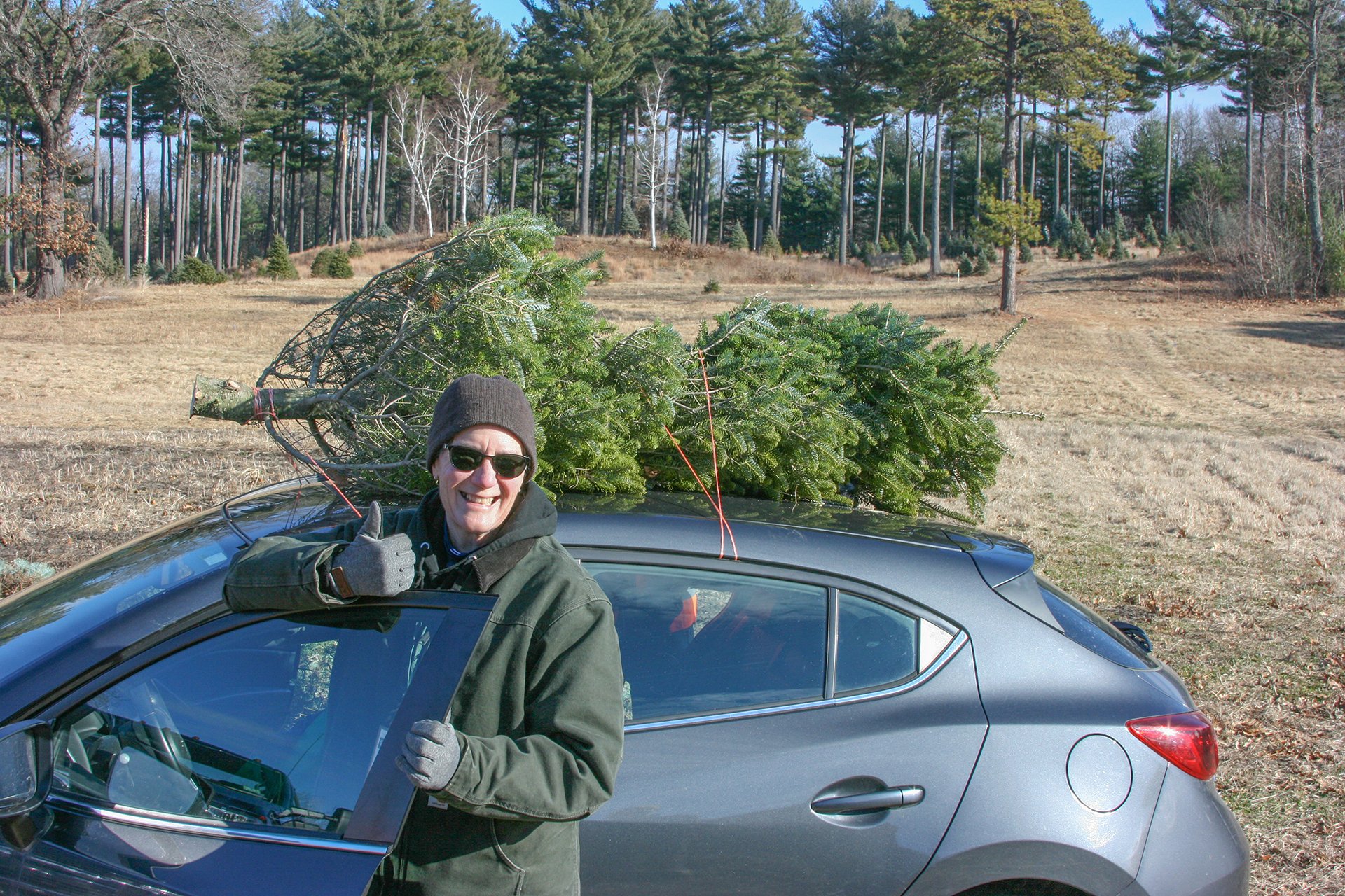 Person getting into their car with a Christmas tree wrapped and tied down on the roof