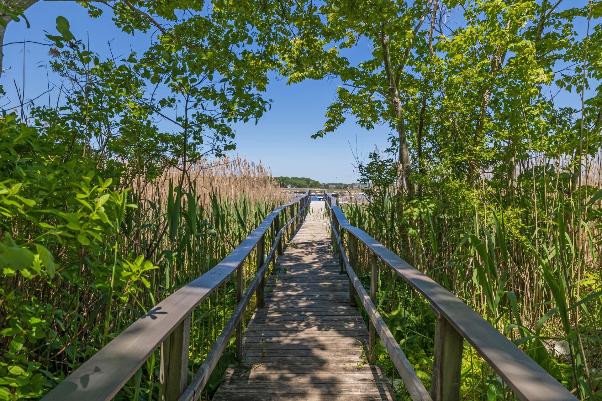 Boardwalk view at North River
