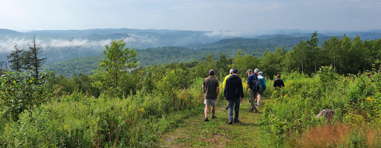 Creating More Pathways to Nature