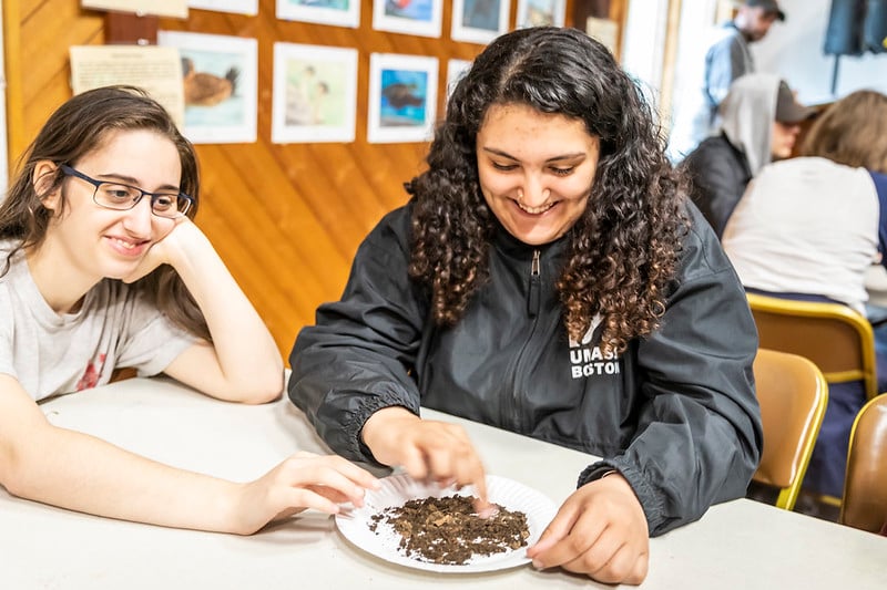 Students examining soil samples in their classroom © Phil Doyle